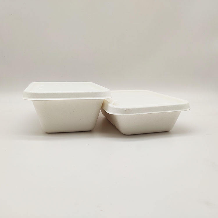 Concha de papel disponible de la pulpa de la caña de azúcar de los envases de comida de la fiambrera de las ventas directas de la fábrica