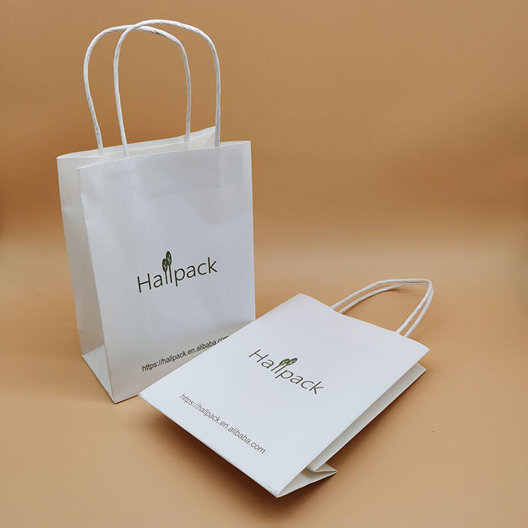 Paquete de tamaño personalizado Bolsa de papel con asa de papel Bolsa de compras de papel Kraft