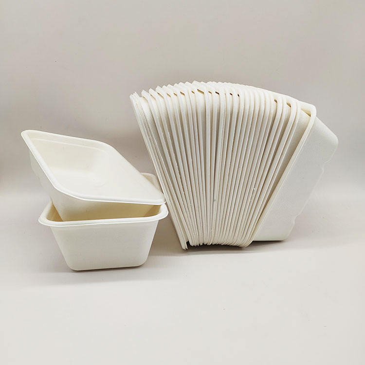 Concha de papel disponible de la pulpa de la caña de azúcar de los envases de comida de la fiambrera de las ventas directas de la fábrica