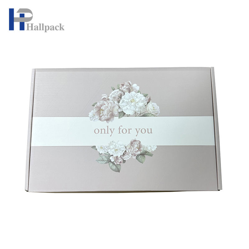 Caja de papel profesional de la nueva forma del aeroplano del diseño para el empaquetado del joyero