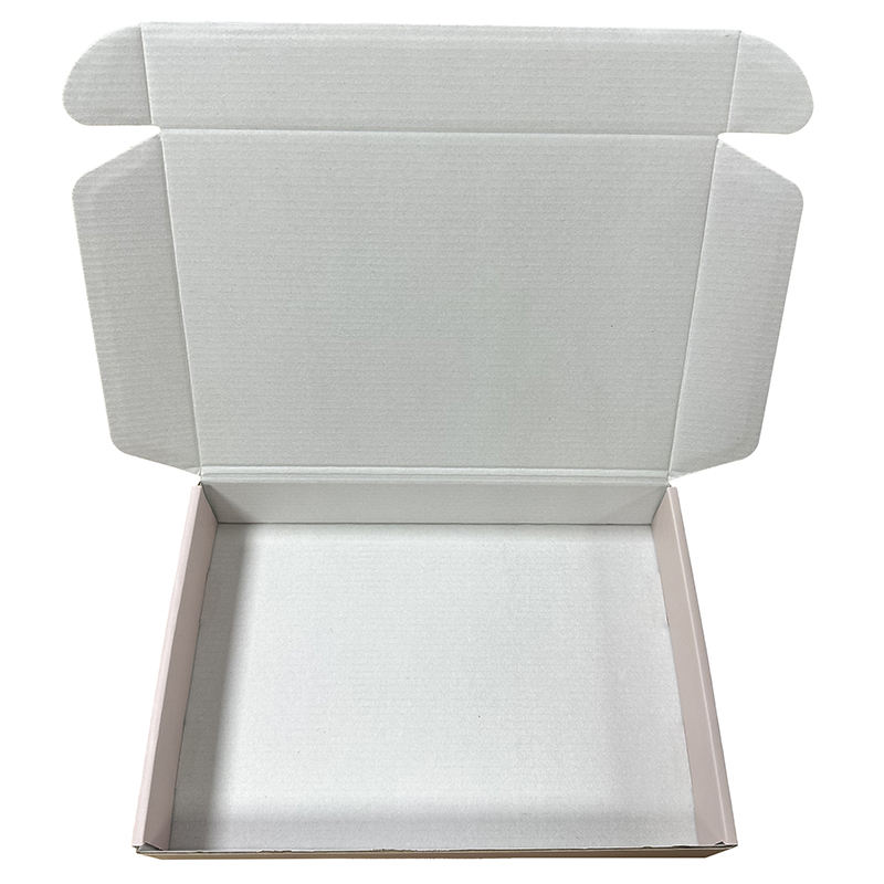 Caja de papel profesional de la nueva forma del aeroplano del diseño para el empaquetado del joyero