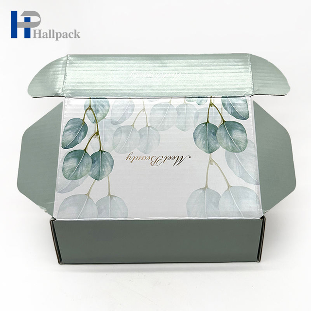 Caja de empaquetado impresa logotipo personalizado del aeroplano de la caja del anuncio publicitario de la caja de empaquetado acanalada del papel de Kraft