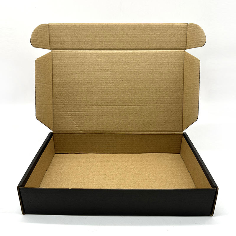 Caja de embalaje de avión de cartón de cartón personalizado 100% fabricante
