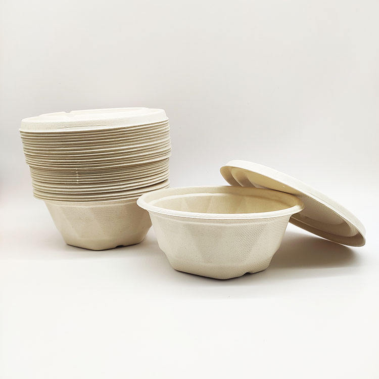 Envases de comida disponibles seguros de la pulpa de papel de la cubierta de la caña de azúcar de la fuente de la fábrica