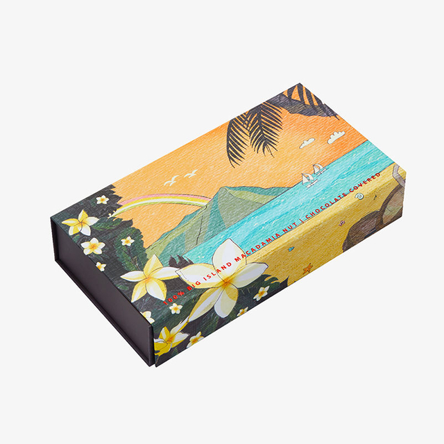 Caja de cartón con forma de libro para extensiones de cabello, embalaje de cartón con inserto de seda satinada, nuevo diseño, gran oferta, regalo, 2020