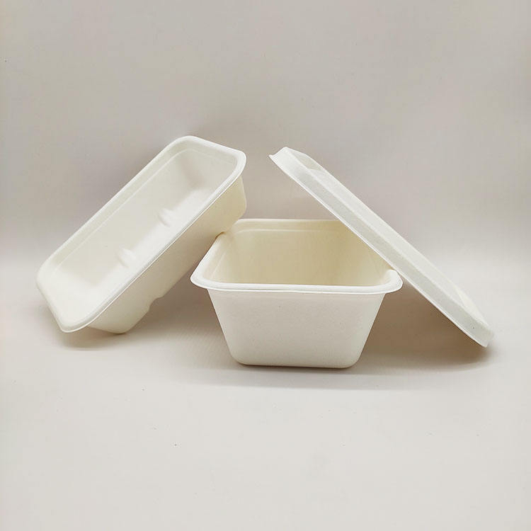 Concha de papel disponible de la pulpa de la caña de azúcar de los envases de comida de la fiambrera de las ventas directas de la fábrica