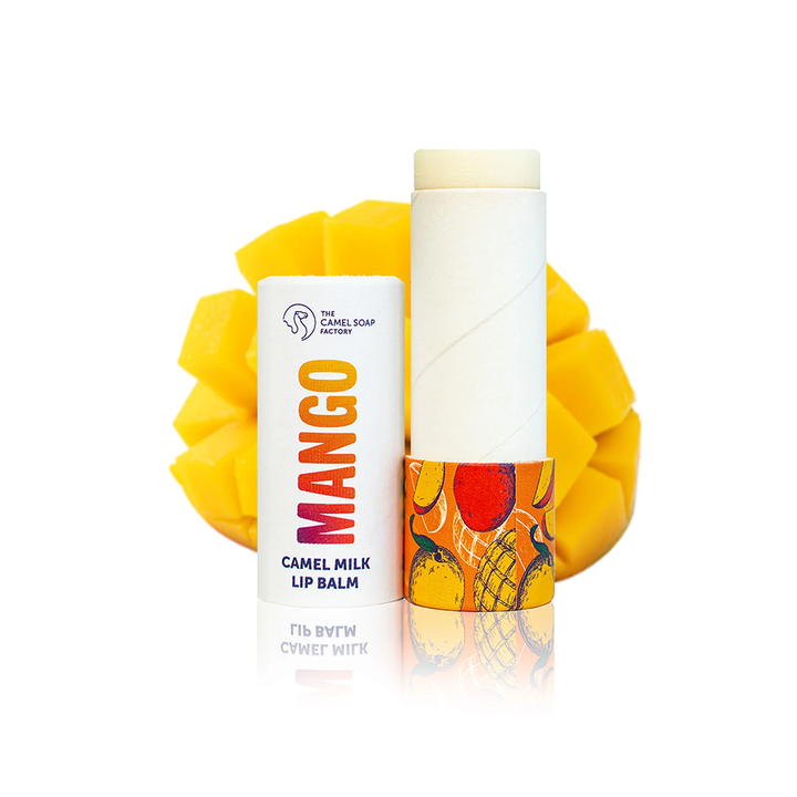 Cilindro de papel ecológico hecho a mano, embalaje de tubo biodegradable, tubo de papel Push Up para bálsamo labial, desodorante y cosmético