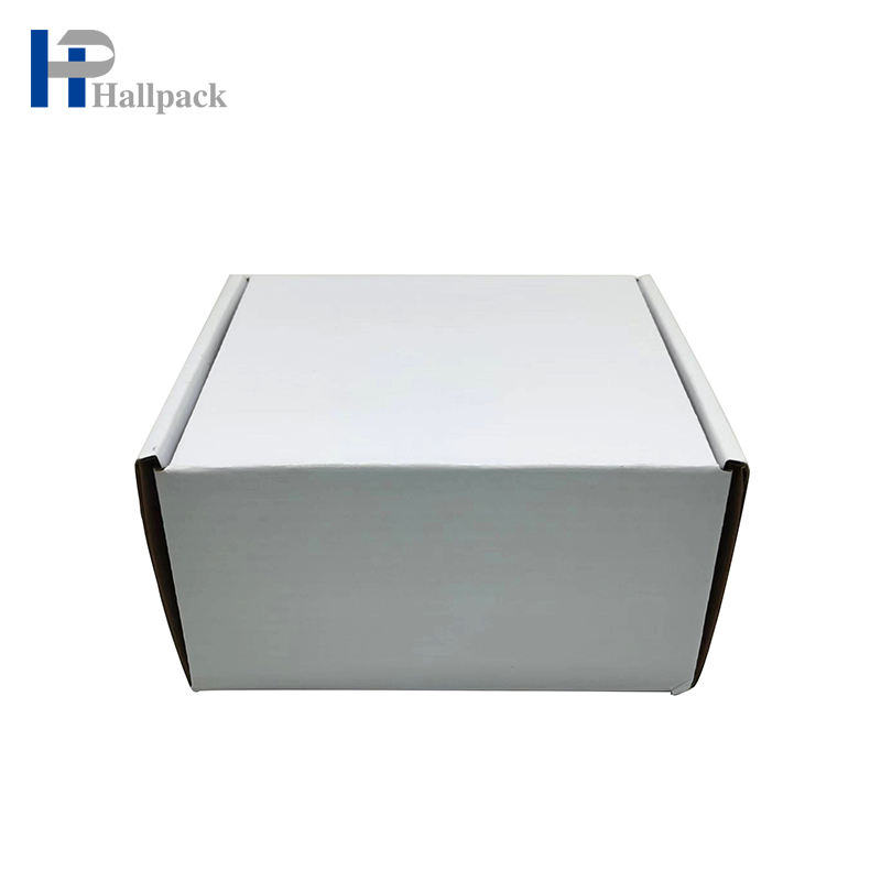 Caja de regalo plegable de lujo biodegradable personalizada para la caja de envío del aeroplano de la caja
