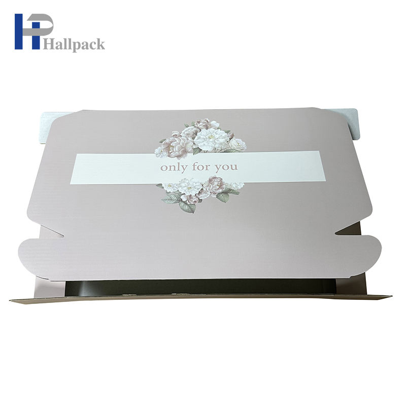 Caja de papel profesional de la nueva forma del aeroplano del diseño para el empaquetado del joyero