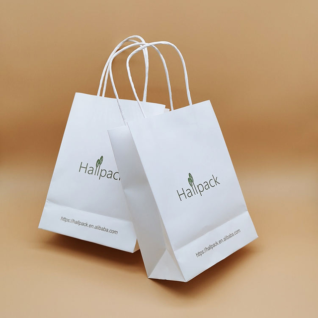 Paquete de tamaño personalizado Bolsa de papel con asa de papel Bolsa de compras de papel Kraft