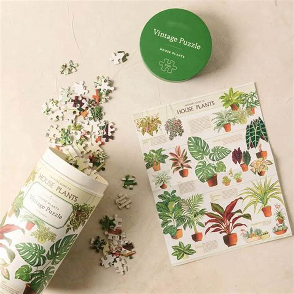 Empaquetado de encargo amistoso del tubo del papel de la caja del cilindro de la cartulina del regalo y del arte de Eco para los niños