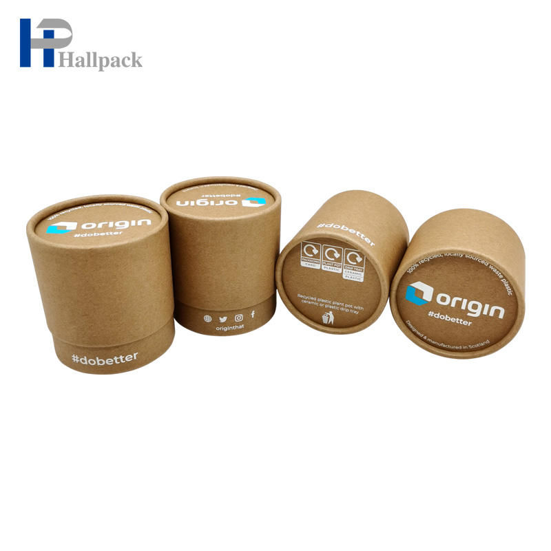 Tubos cosméticos de papel biodegradables Tubo de papel Kraft en blanco