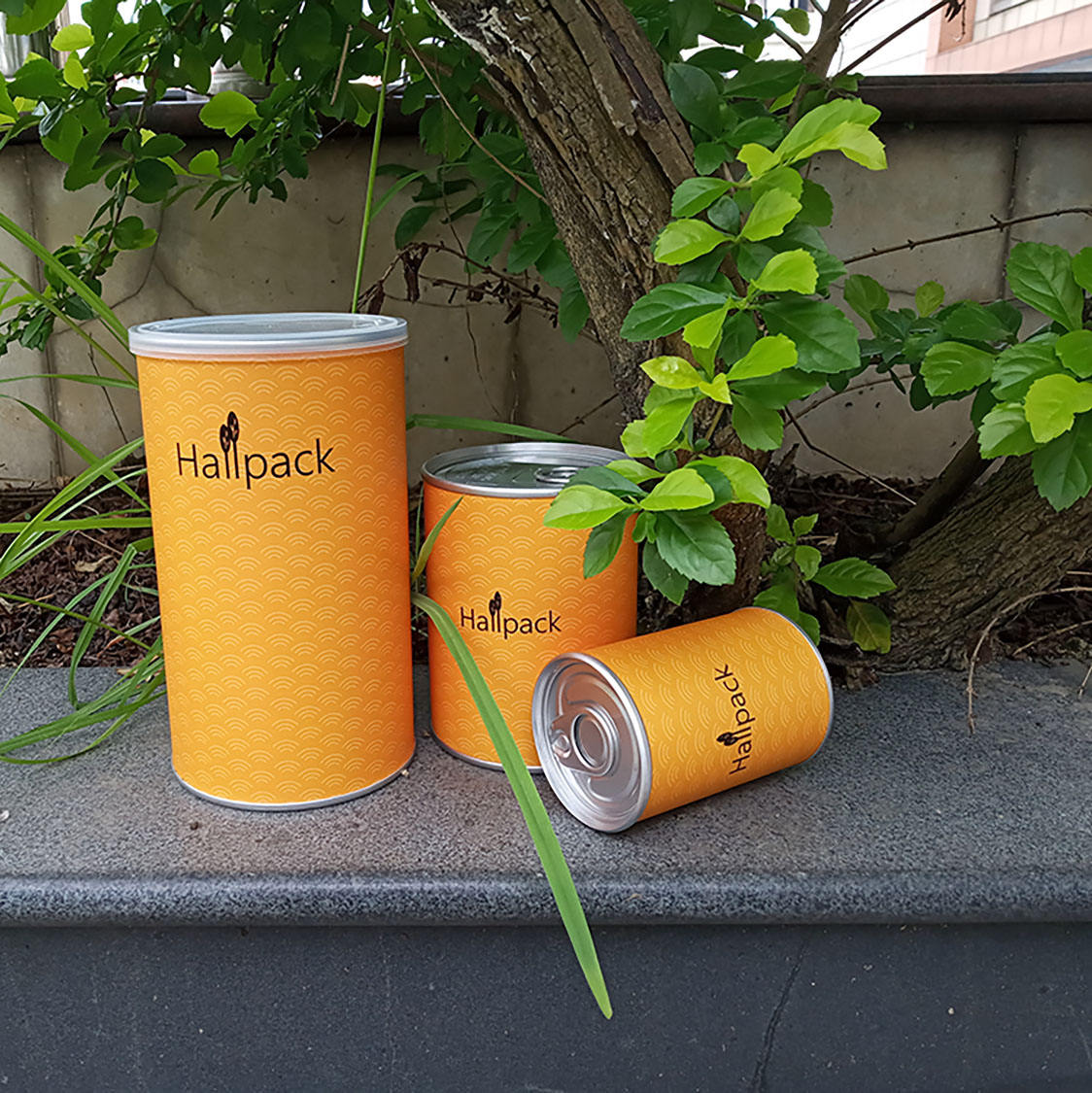 Caja de tubo de papel de embalaje de cilindro de cartón con impresión de logotipo personalizado reciclado, venta al por mayor, con tapa larga, vela de hierro, té y café