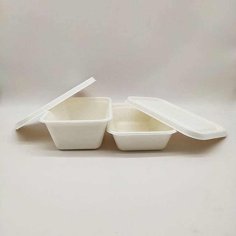 Concha de papel disponible de la pulpa de la caña de azúcar de los envases de comida de la fiambrera de las ventas directas de la fábrica