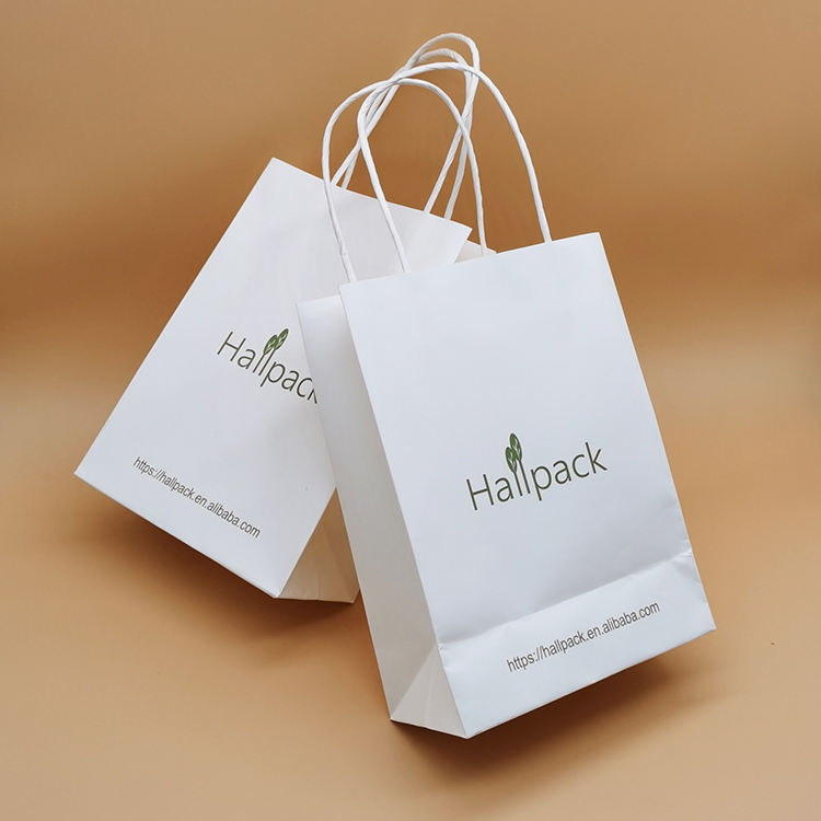 Paquete de tamaño personalizado Bolsa de papel con asa de papel Bolsa de compras de papel Kraft