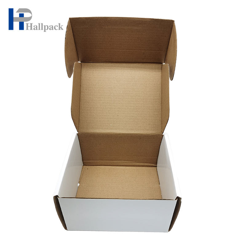 Caja de envío de encargo amistosa de papel corrugado de la caja de cartón de Eco que empaqueta para el regalo de cumpleaños del día de fiesta