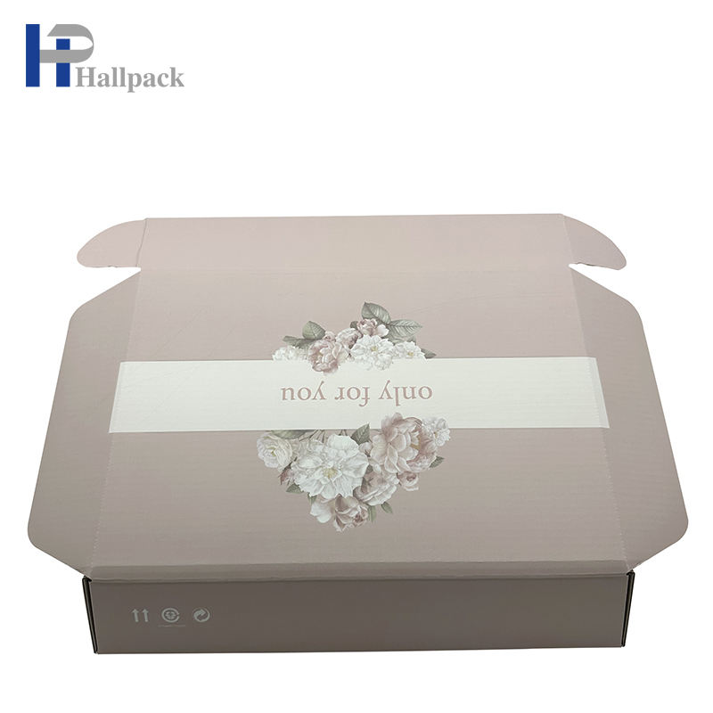 Caja de papel profesional de la nueva forma del aeroplano del diseño para el empaquetado del joyero