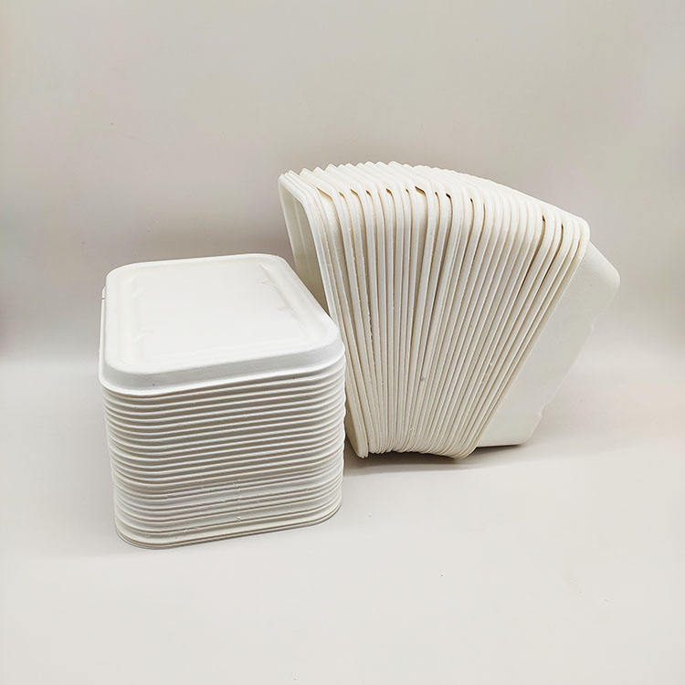 Concha de papel disponible de la pulpa de la caña de azúcar de los envases de comida de la fiambrera de las ventas directas de la fábrica