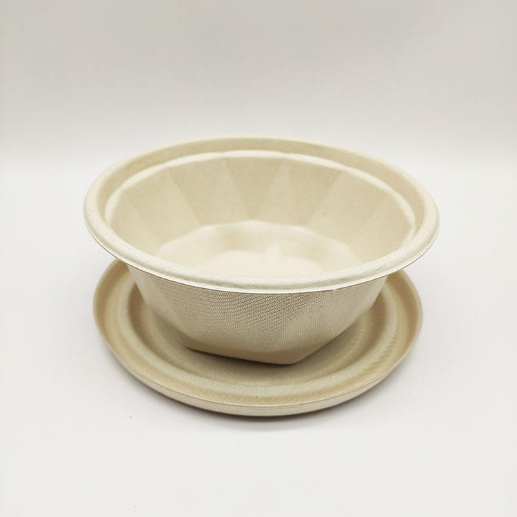 Envases de comida disponibles seguros de la pulpa de papel de la cubierta de la caña de azúcar de la fuente de la fábrica