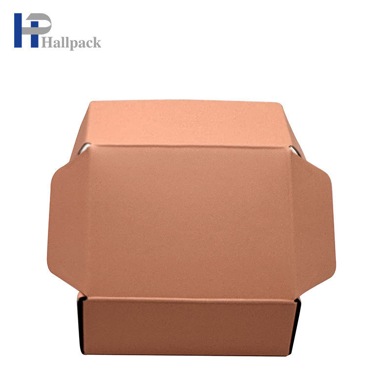 Caja acanalada del aeroplano del envío del regalo del aeroplano de papel de empaquetado de la cartulina coloreada amistosa de Eco
