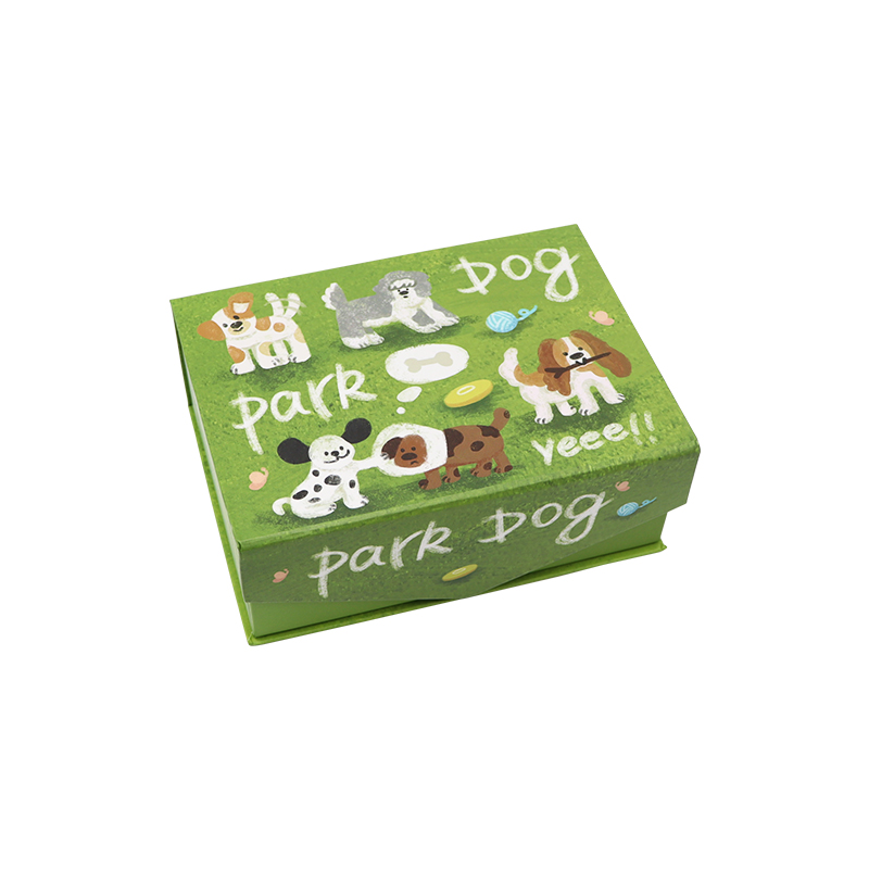 Embalaje de caja en forma de libro para aretes Jewelry Gift Diseño personalizado Biodegradable Magnetic Carton