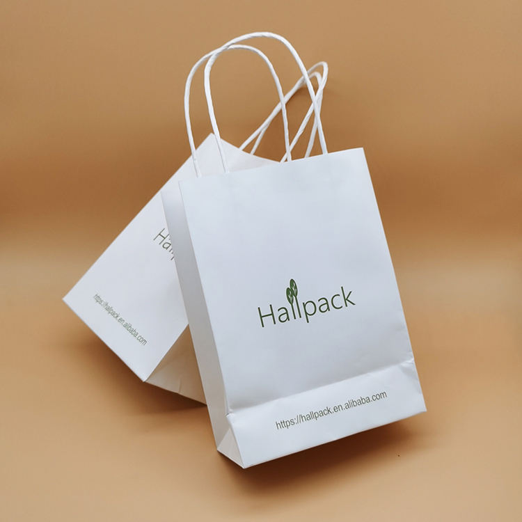 Paquete de tamaño personalizado Bolsa de papel con asa de papel Bolsa de compras de papel Kraft