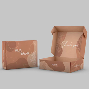 Embalaje de caja de avión de papel con impreso digital personalizado para envío de correo
