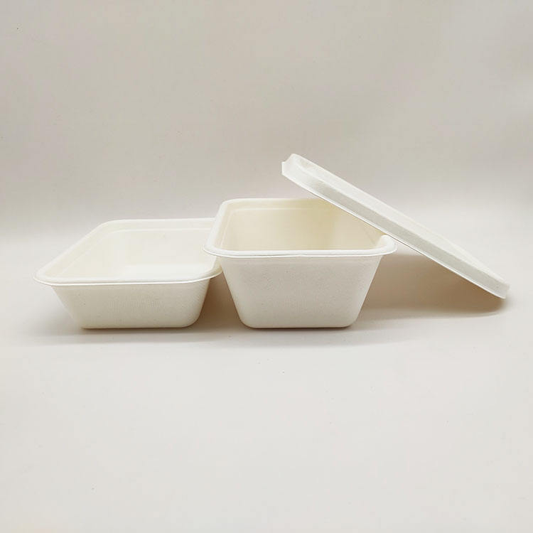 Concha de papel disponible de la pulpa de la caña de azúcar de los envases de comida de la fiambrera de las ventas directas de la fábrica