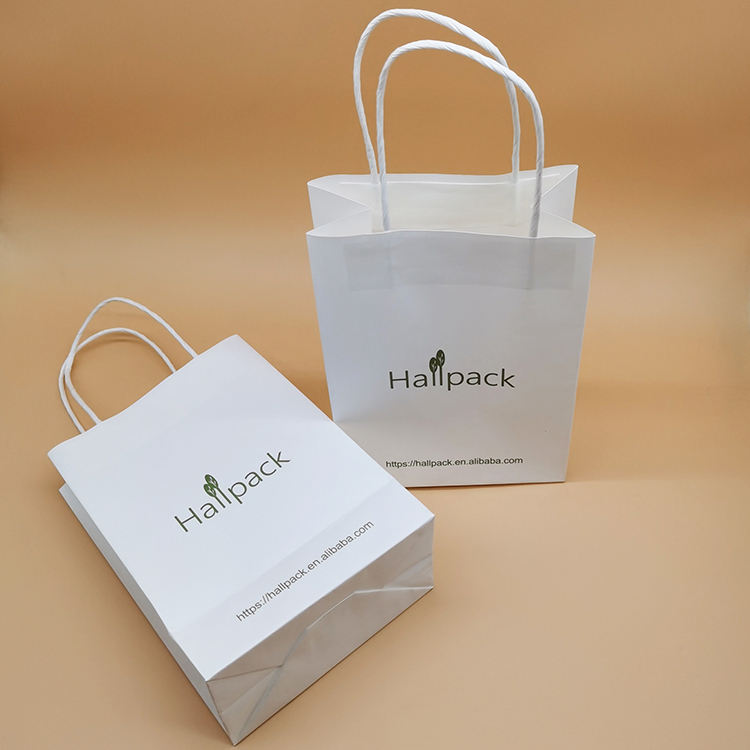 Paquete de tamaño personalizado Bolsa de papel con asa de papel Bolsa de compras de papel Kraft
